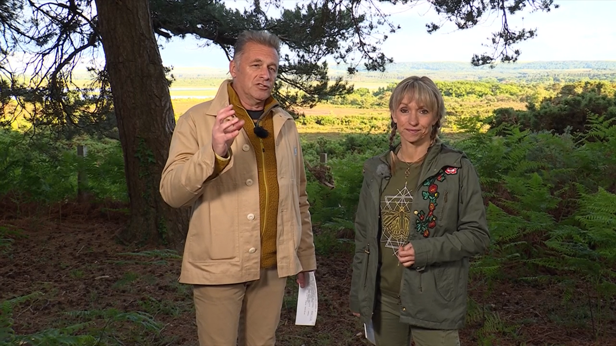 Chris Packham and Michaela Strachan