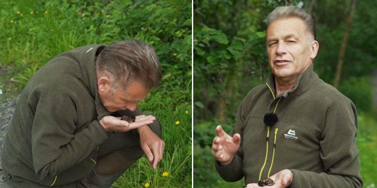 BBC Springwatch viewers left ‘disgusted’ with Chris Packham after presenter’s ‘sick’ move: ‘Put me off’ BBC Springwatch viewers left ‘disgusted’ with Chris Packham after presenter’s ‘sick’ move: ‘Put me off’