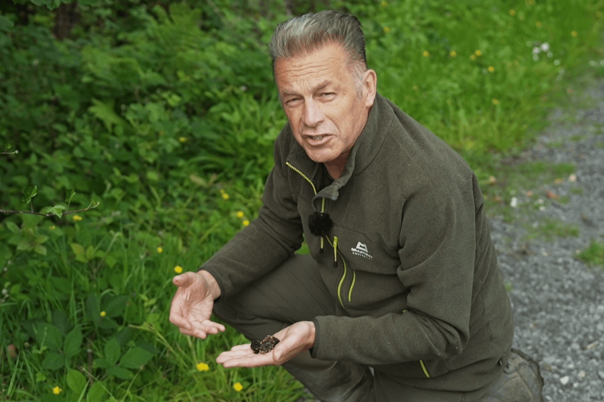 Chris Packham