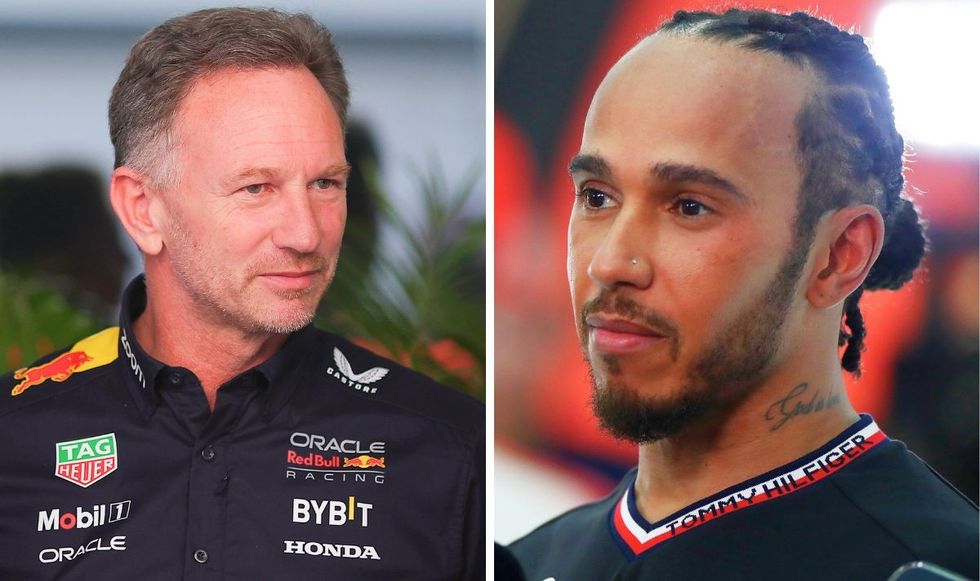 Christian Horner and Lewis Hamilton