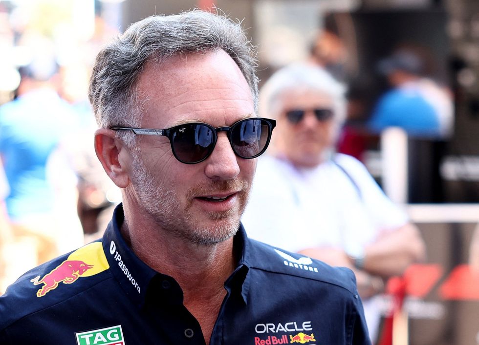 Christian Horner was sacked by Red Bull last year