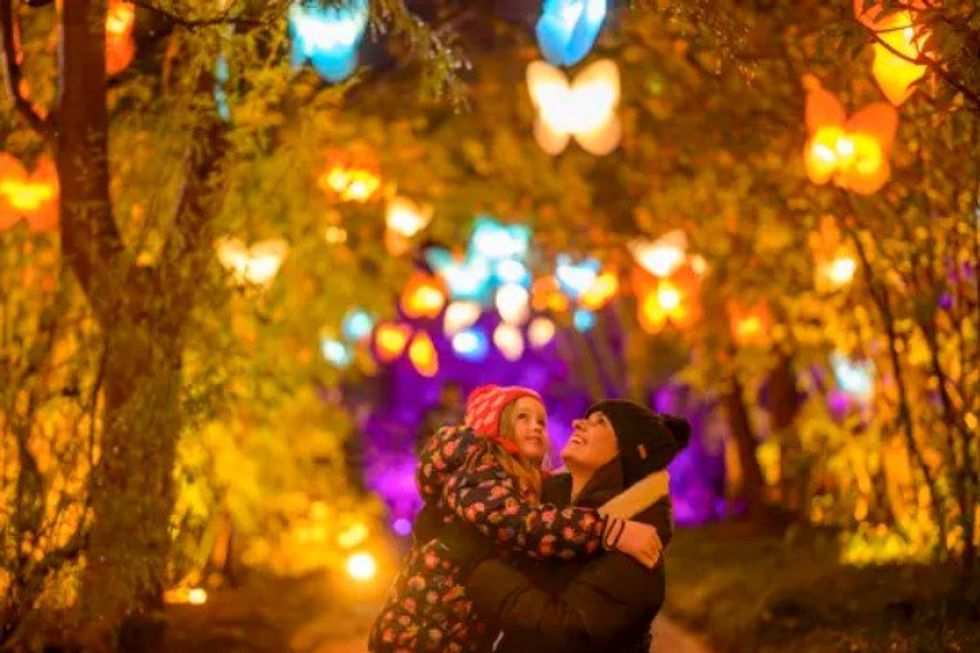 Christmas at the Botanics (Edinburgh)