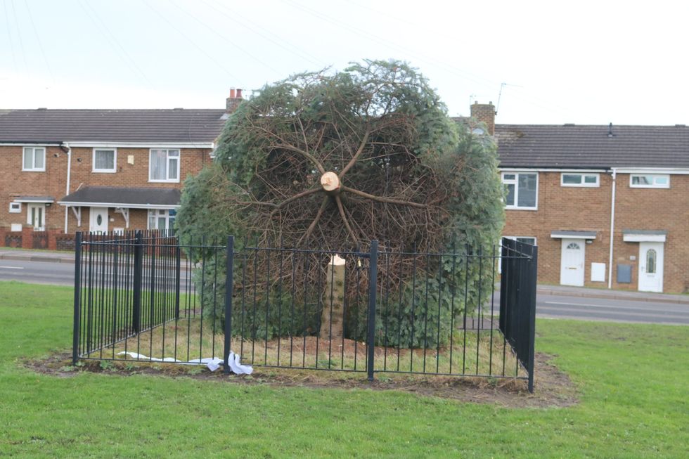 Christmas tree chopped down