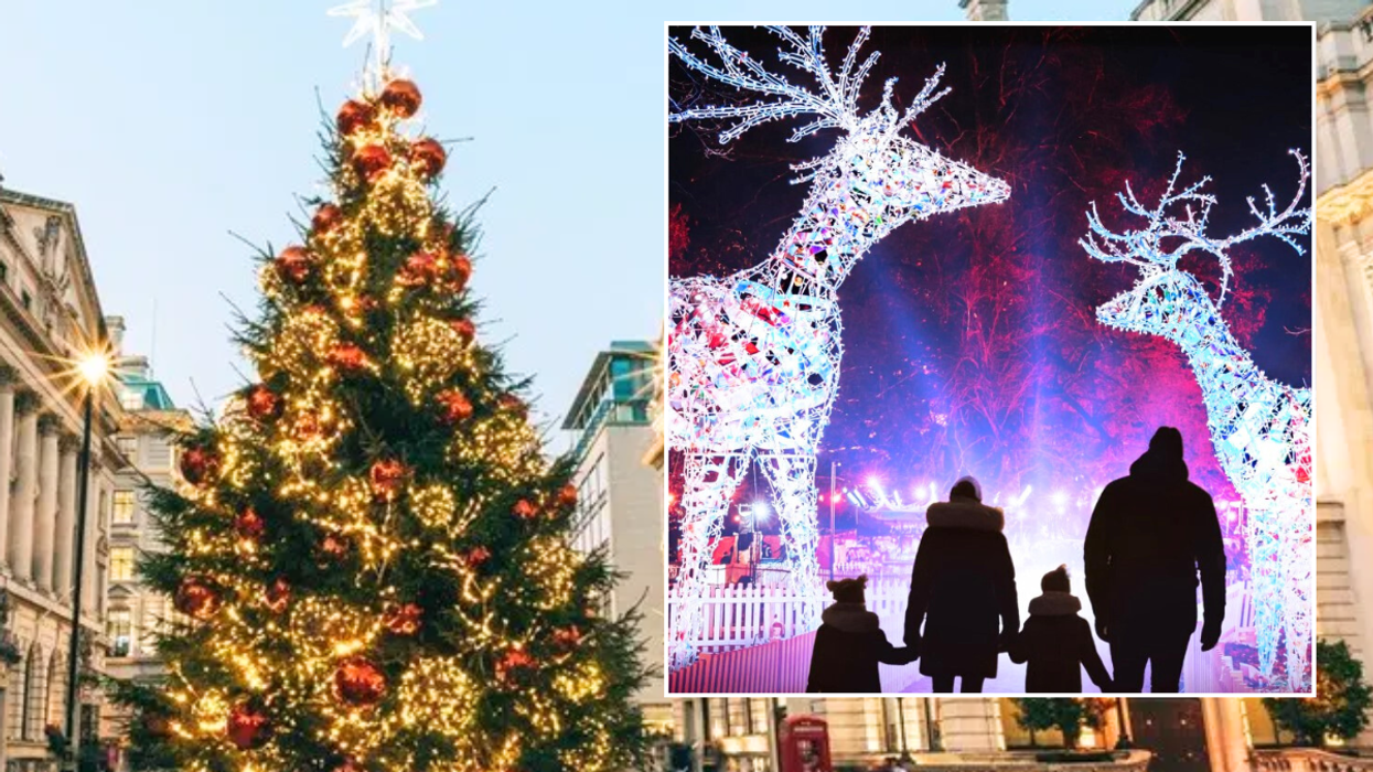 Christmas tree in London / Christmas at Dunham Massey