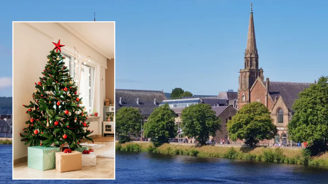 Christmas tree / Inverness, Scotland