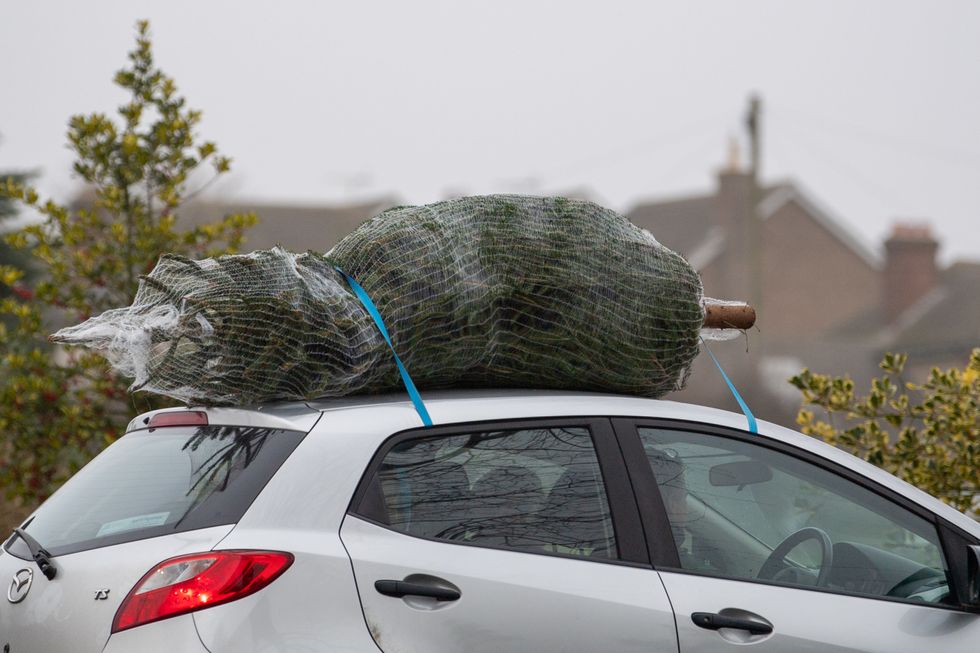 Christmas tree on car