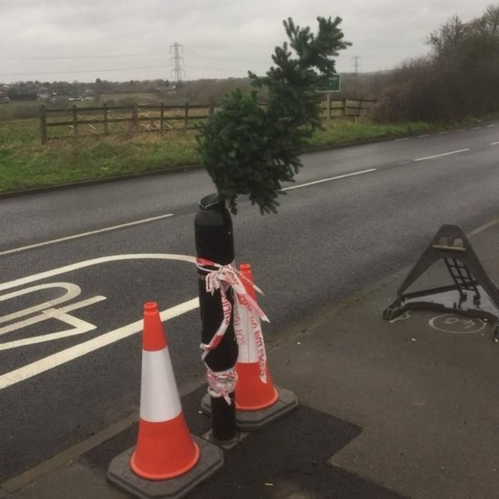 Christmas tree replacing Ulex camera