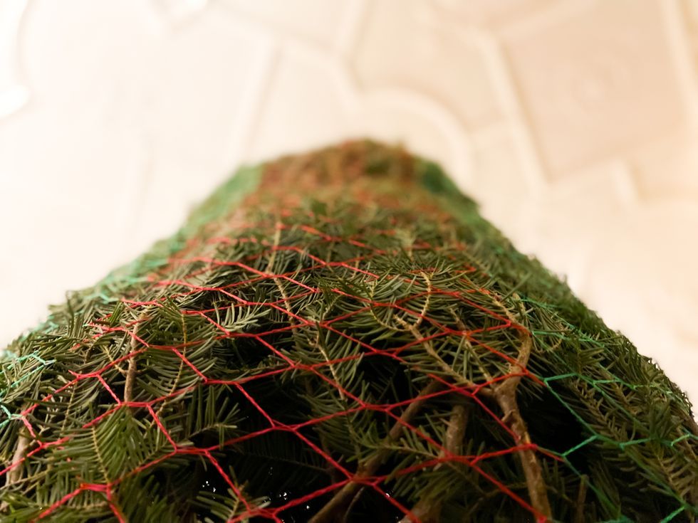 Christmas Tree