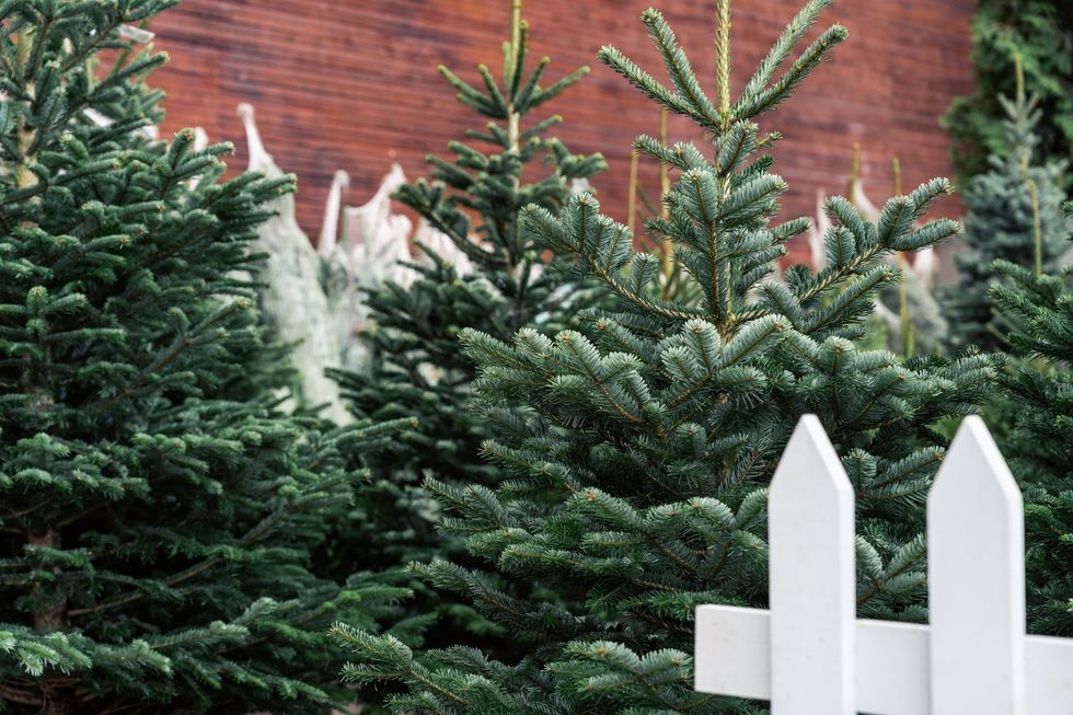 Christmas tree