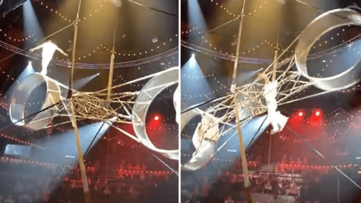 Circus performer in hospital after huge plunge in front of horrified children