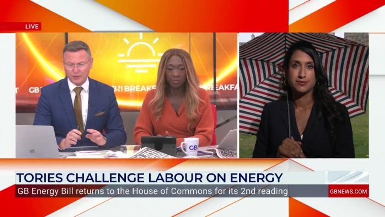 Labour's GB Energy is a waste of taxpayers' money, says shadow secretary