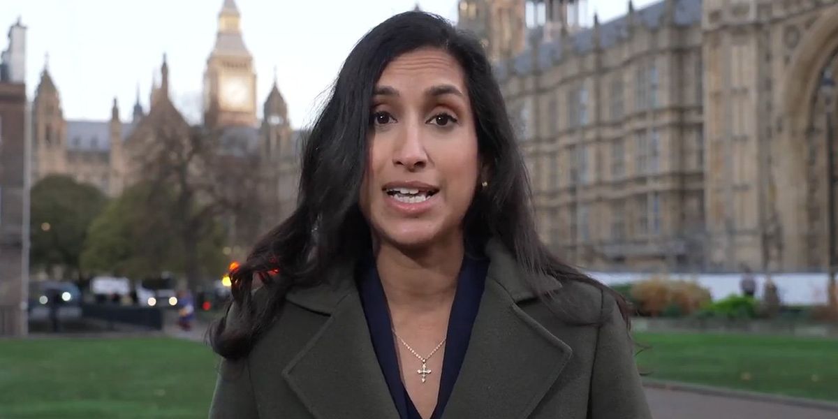 Ed Miliband accused of 'leading Britons down the garden path' with net zero policy: 'We can't afford to do it!' thumbnail