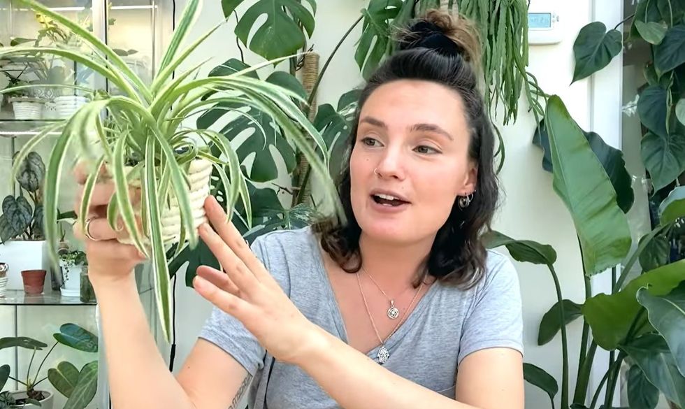 Claire from The Jungle Haven