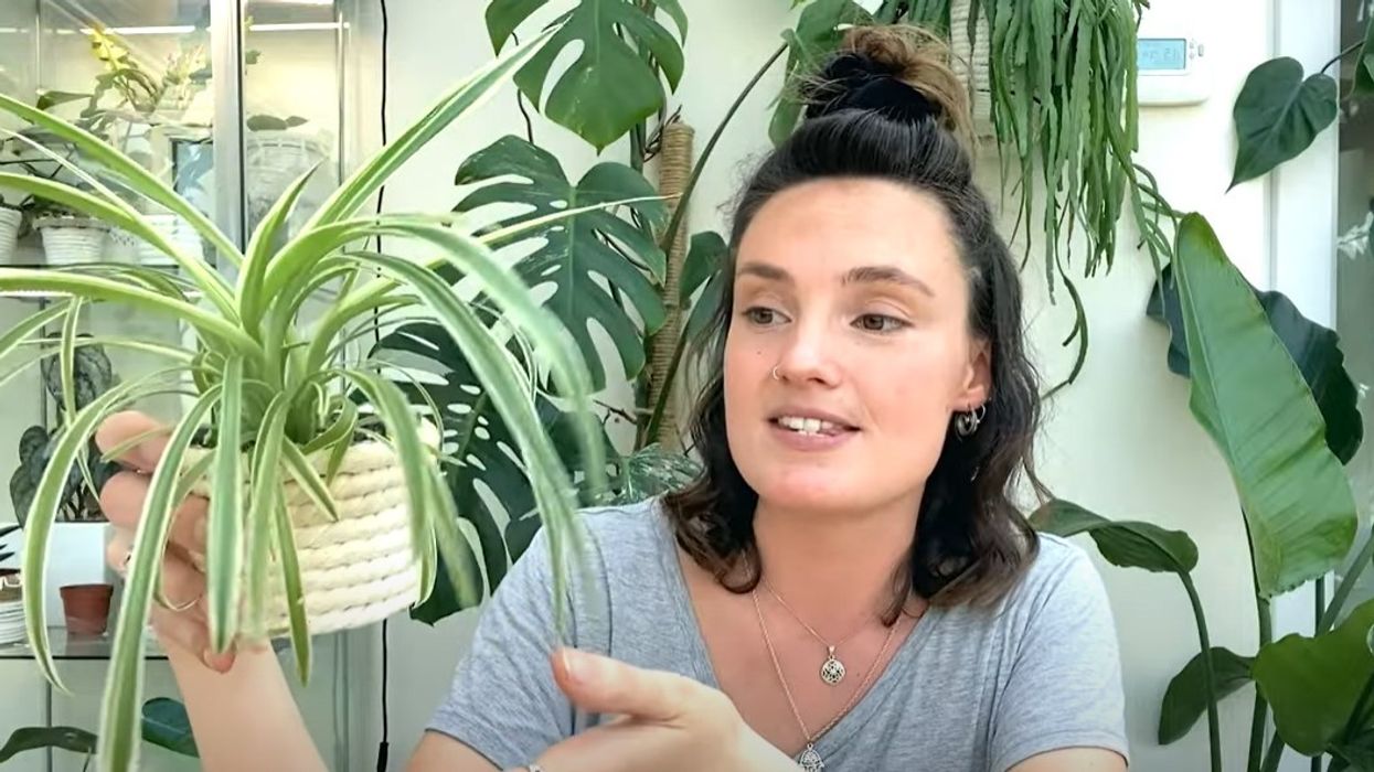 Claire from The Jungle Haven