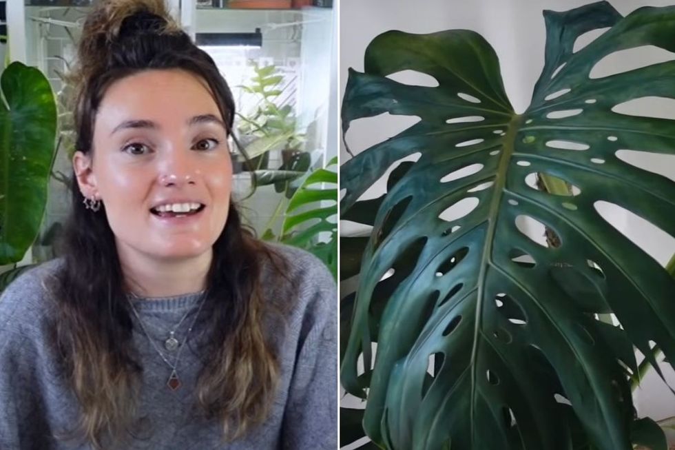 Claire headshot and leaves