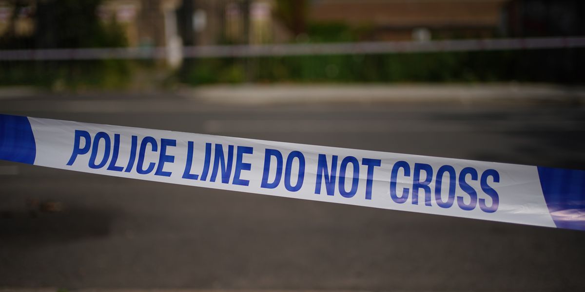 NextImg:Police arrest suspect in Clapham stalking and stabbing probe