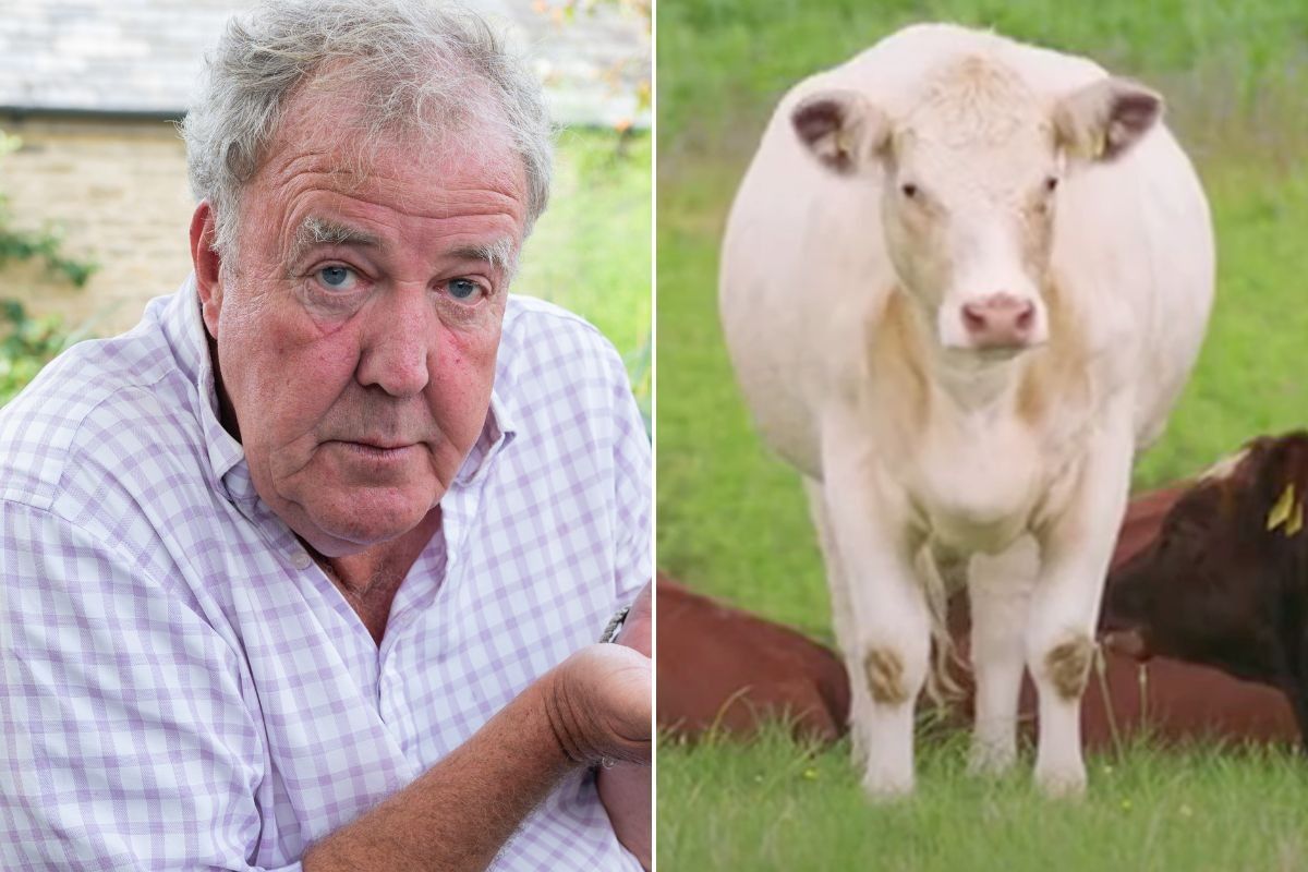 Clarkson's Farm: Jeremy Clarkson