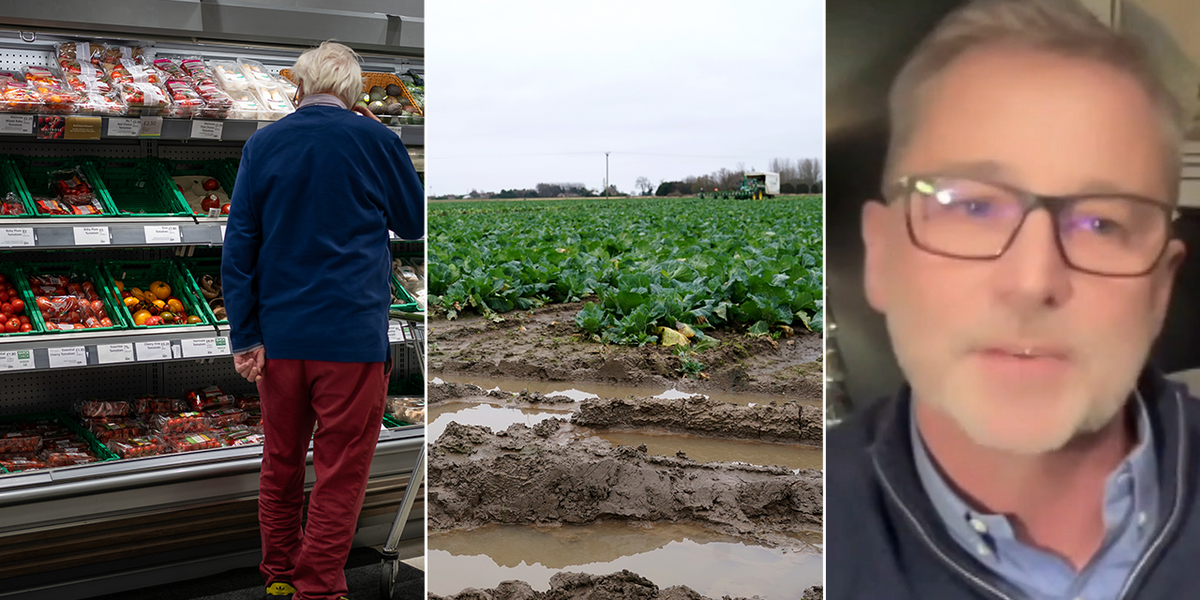 NextImg:Farmers ‘buying veg from supermarkets’ for livestock as ‘insulting’ prices CHEAPER than regular feed