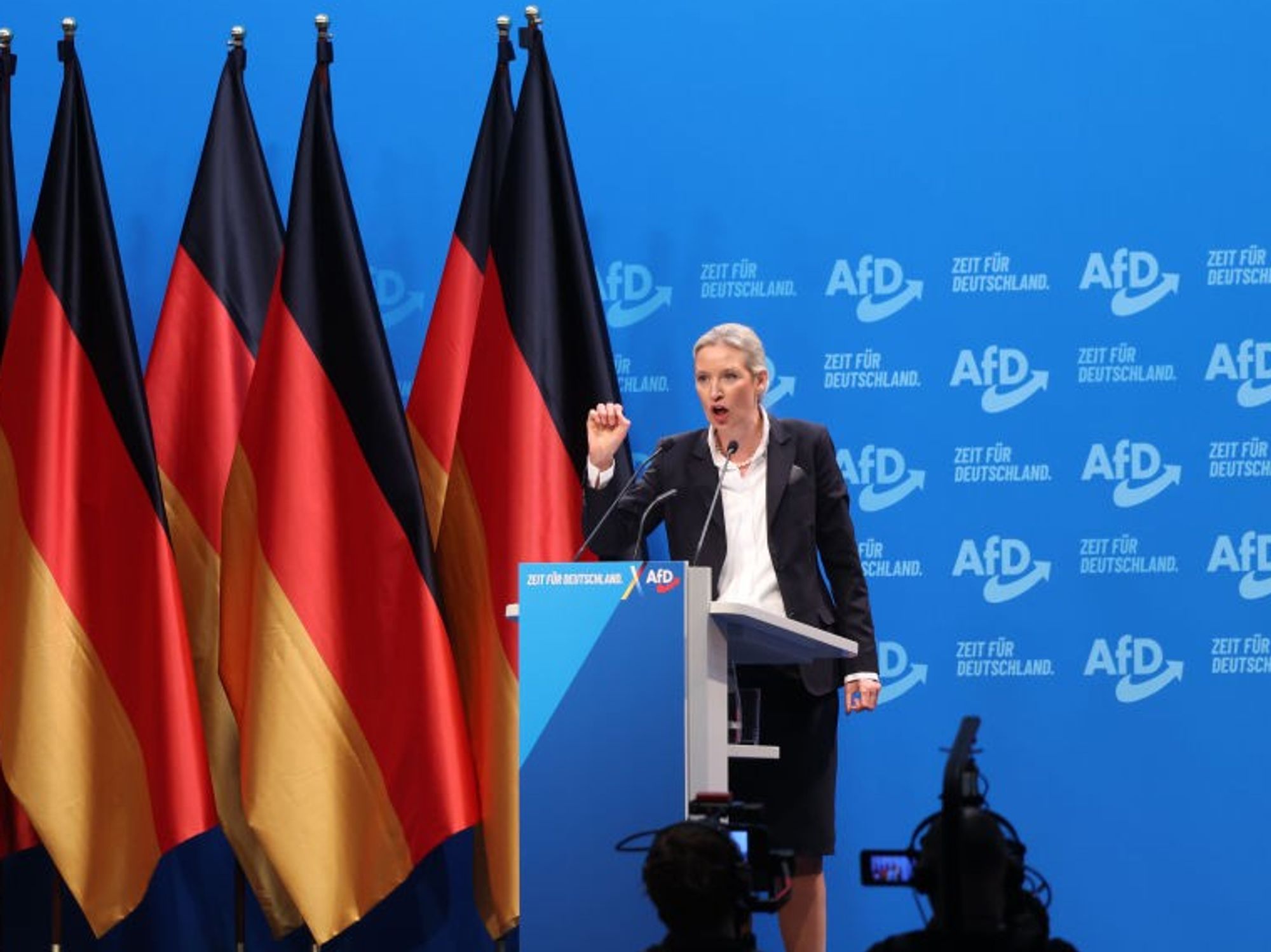 Co-leader Alice Weidel
