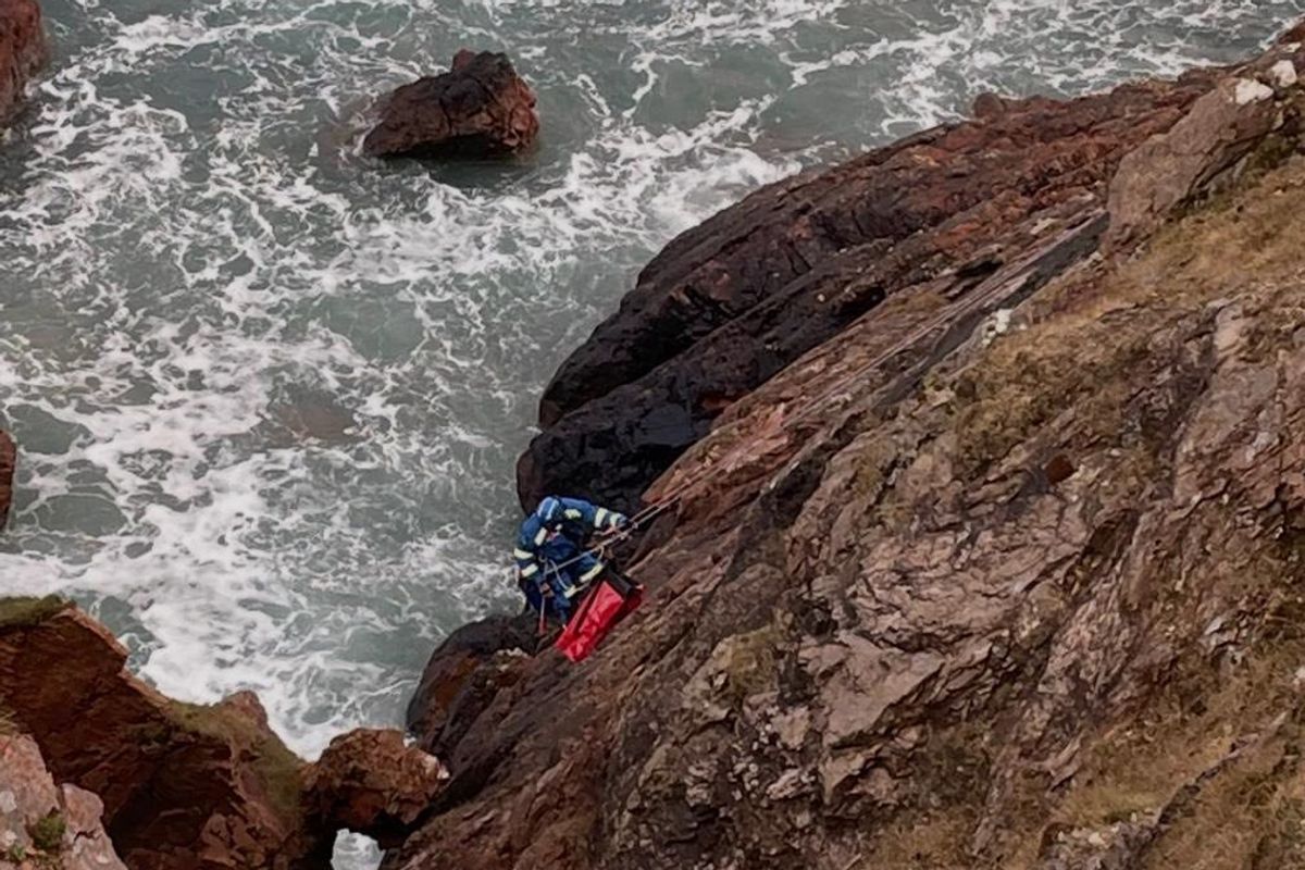 Coastguard repelling to rescue Whisp