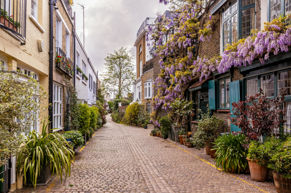 Cobbled street with houses decorated with flowers and potted plants