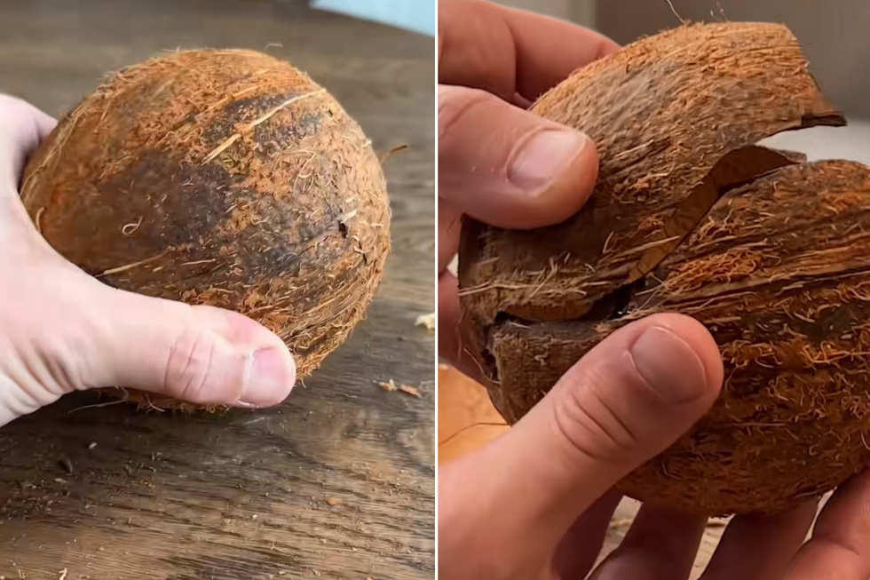 Coconut with its husk removed; coconut being pieced together