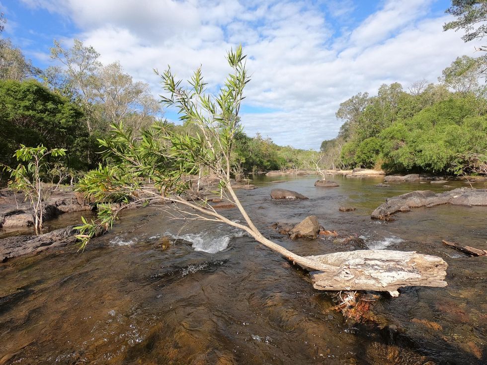 Coen river Cape York Queensland