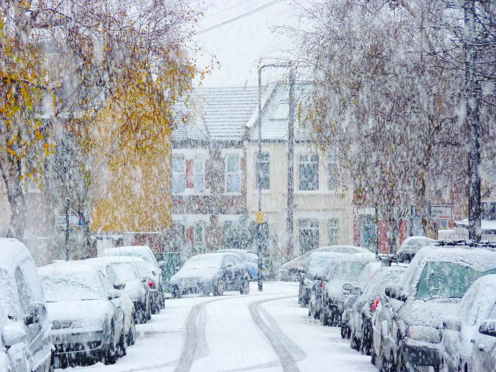 Cold weather and snow in pictures