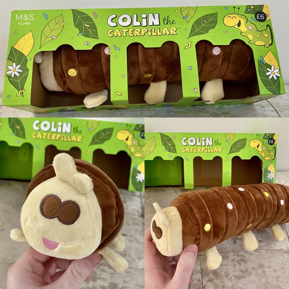 Colin the Caterpillar toy