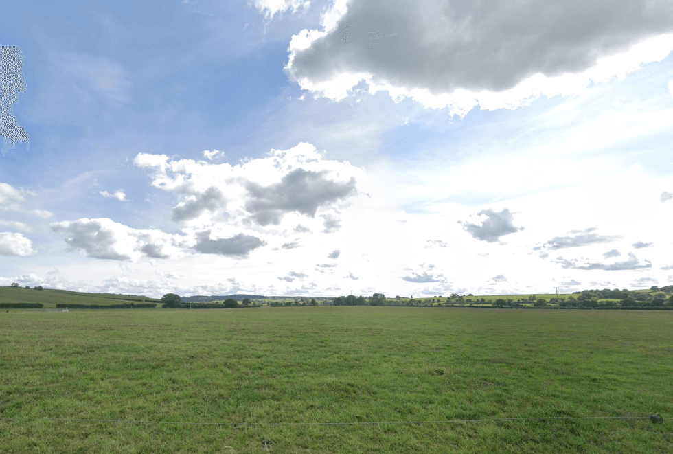 College Fields