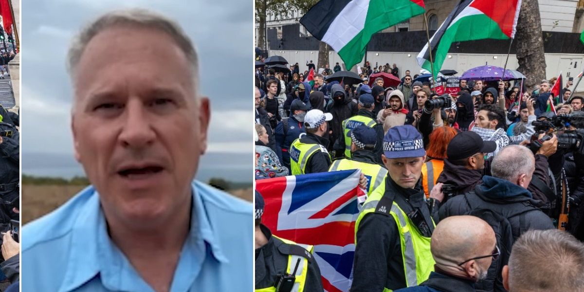 NextImg:Pro-Palestinian march on Armistice Day should be BANNED as Colonel Kemp warns of ‘violence’