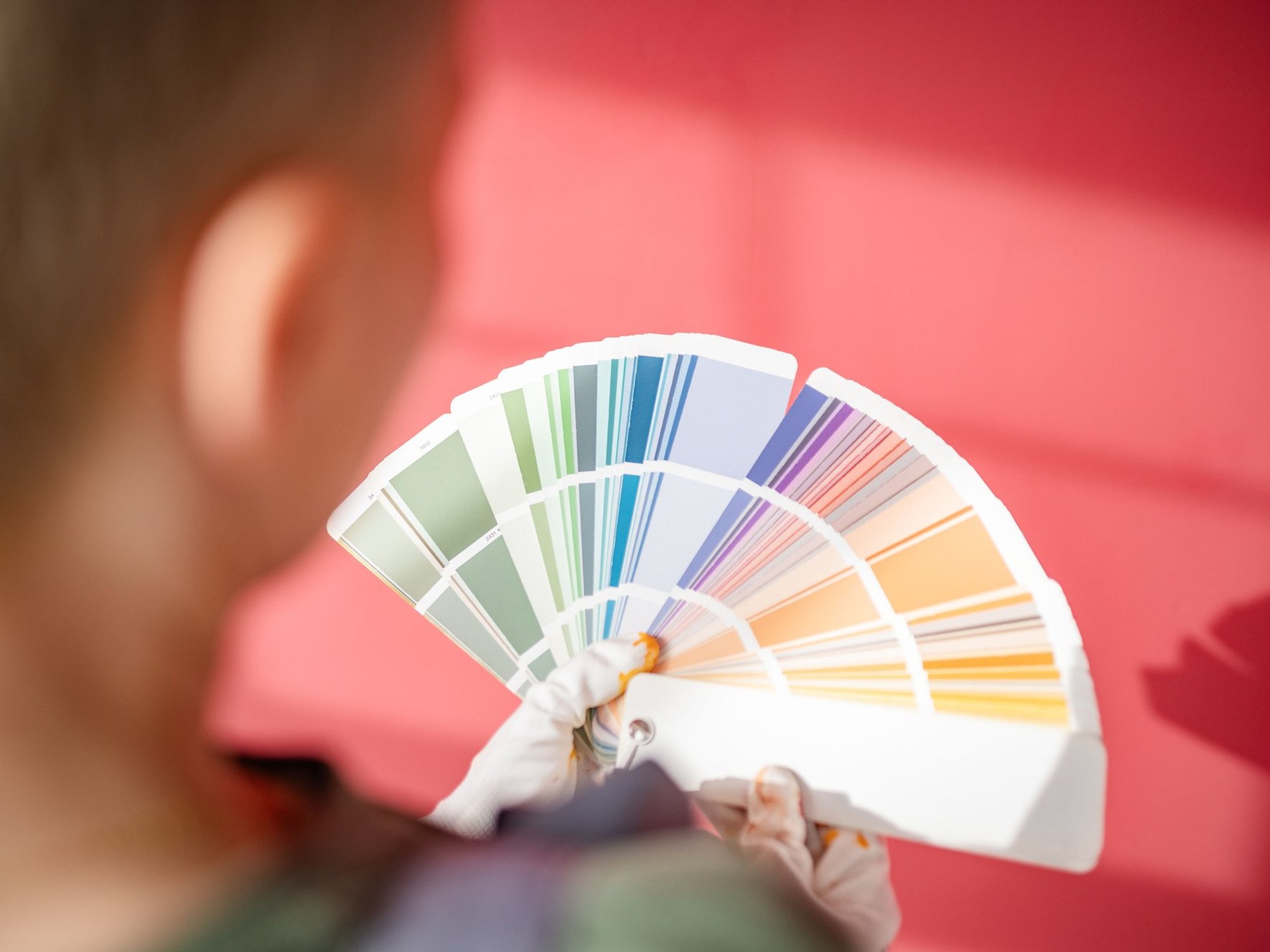Colour