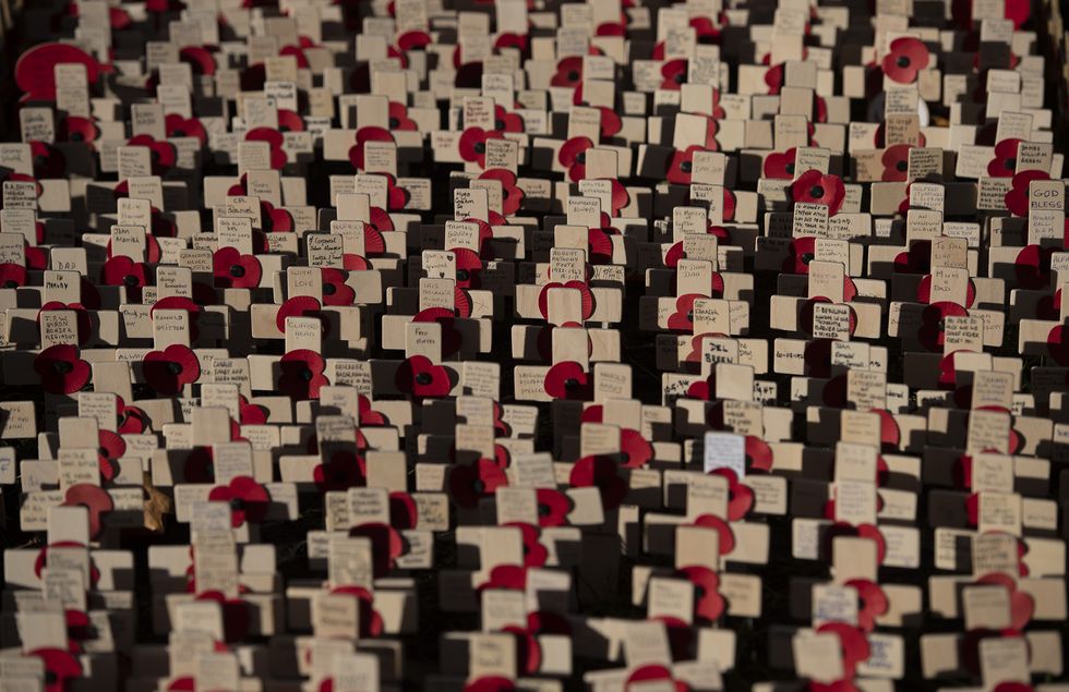 Commemorative poppies and crosses in Westminster Abbeys Field of Remembrance, in its 92nd year, at Westminster Abbey in London, ahead of Armistice Day.