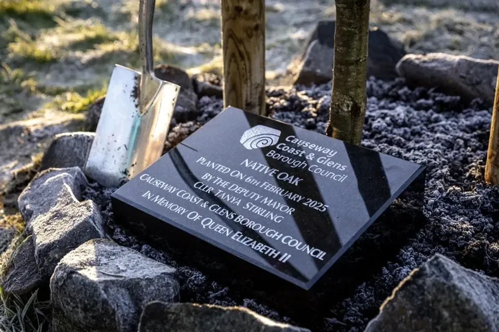 árvores comemorativas em homenagem à rainha perdida