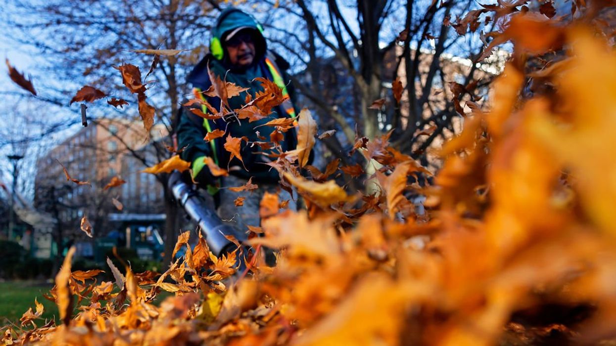 Communities are divided over the use of lead blowers during Autumn