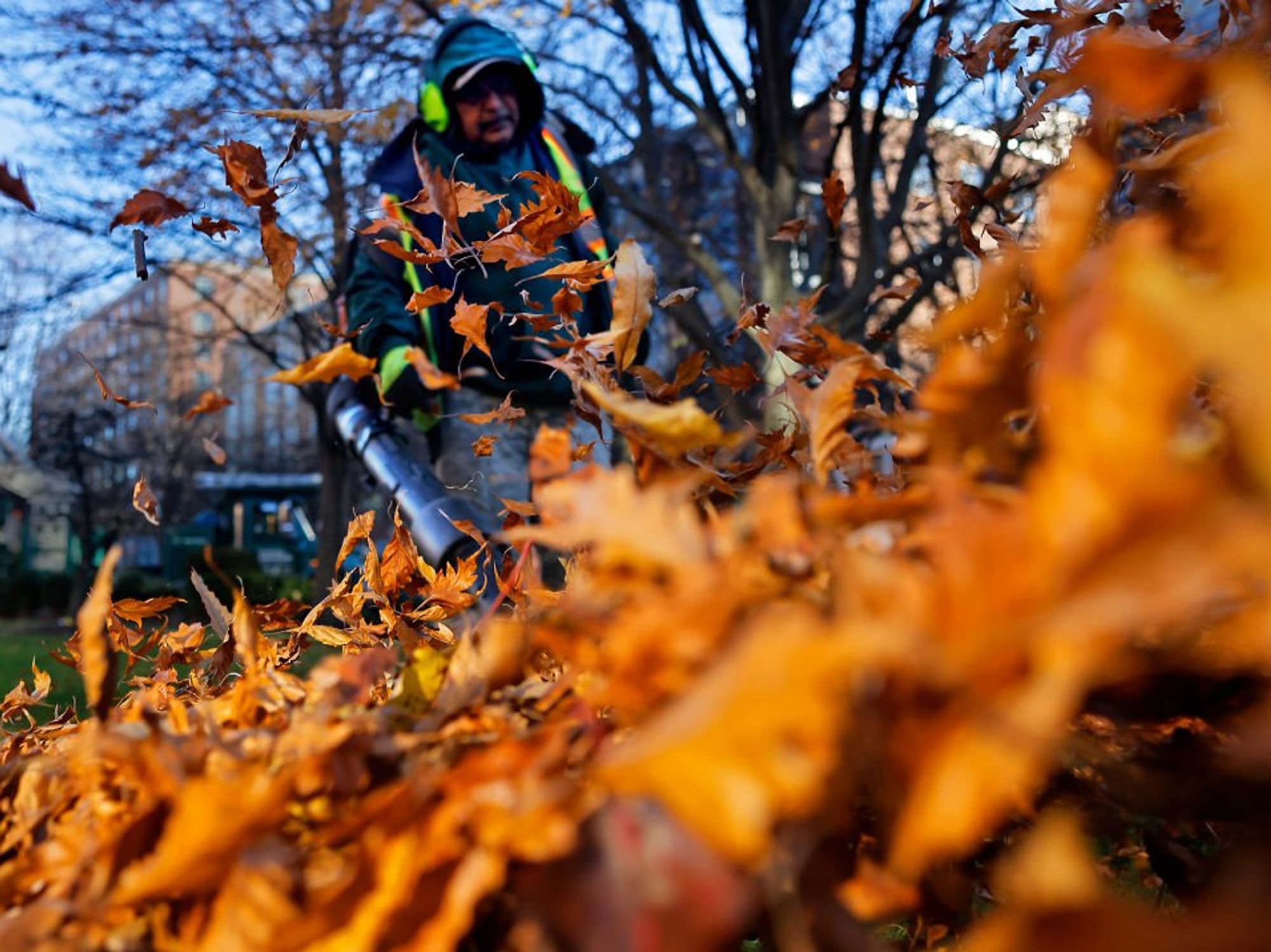 Communities are divided over the use of lead blowers during Autumn