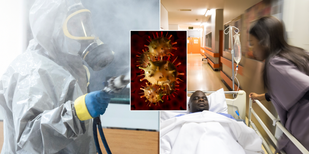 NextImg:Urgent health warning as 'slow-motion pandemic' with a '50 percent mortality rate' makes jump to humans