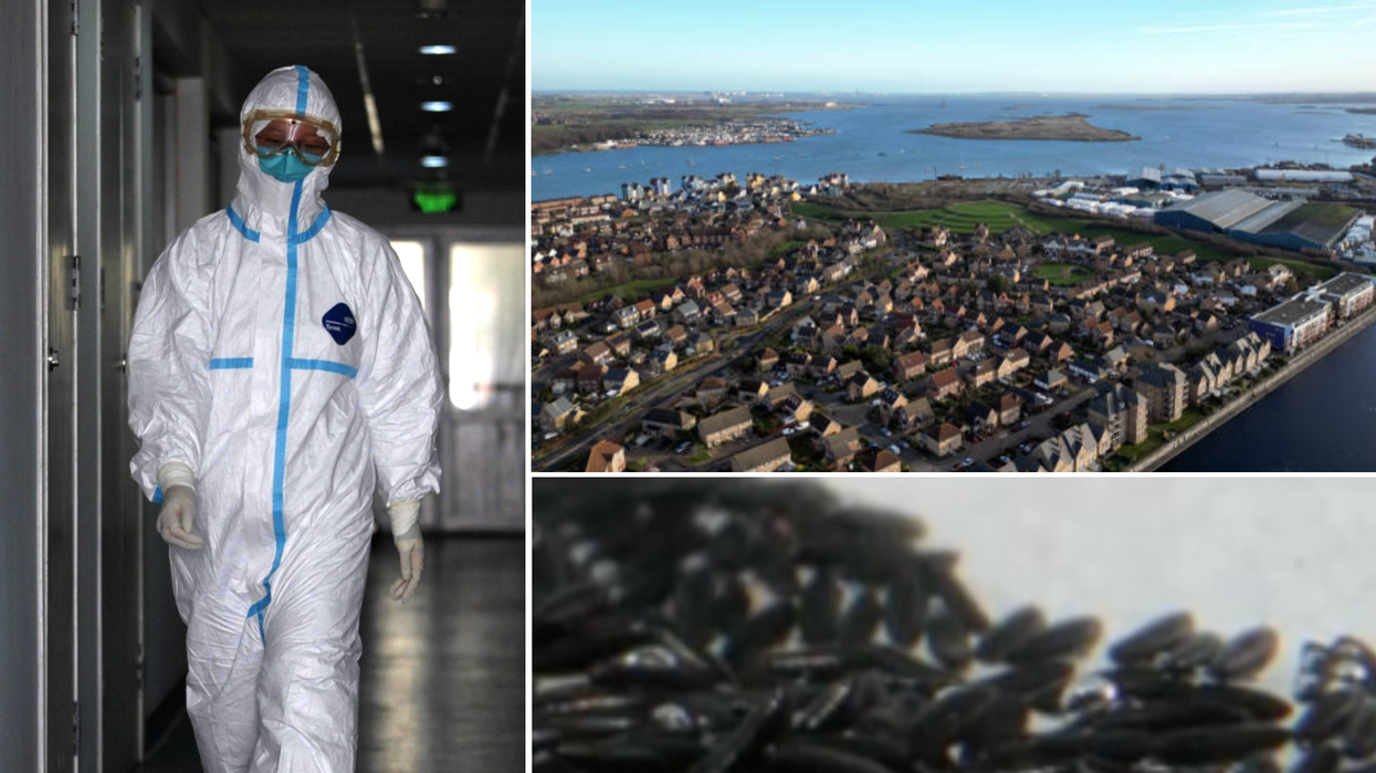 Composite image of a man in a hazmat suit (left), aeriel view of Kent (top right) and mosquito eggs (bottom left)