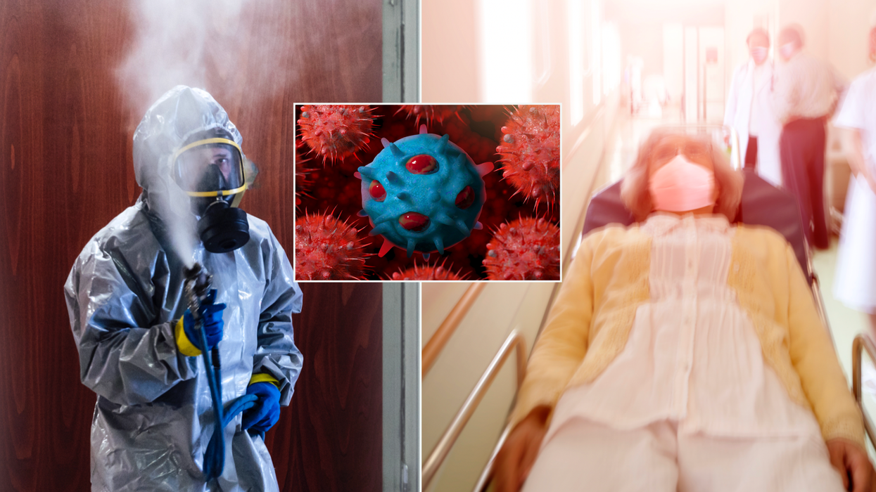 Composite image of a man in a hazmat suit (left), illustration of bird flu (middle) and woman in a hospital bed (right)