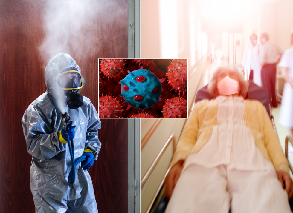 Composite image of a man in a hazmat suit (left), illustration of bird flu (middle) and woman in a hospital bed (right)