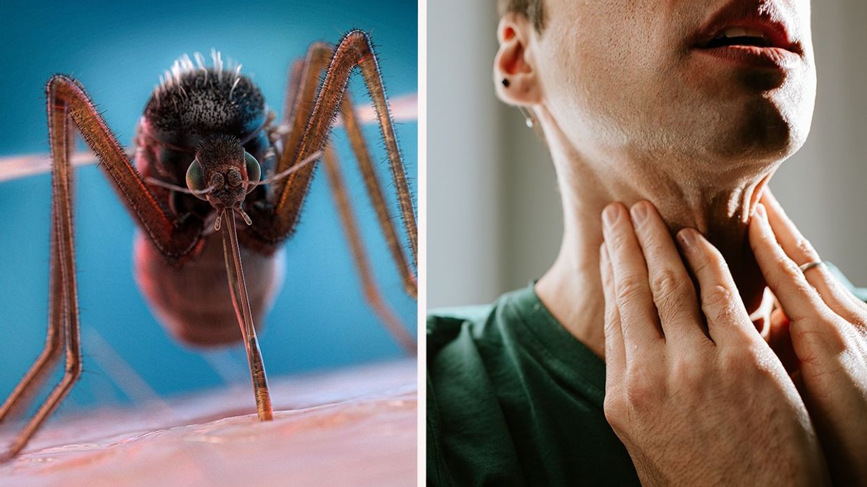 Composite image of a mosquito and a person holding their throat
