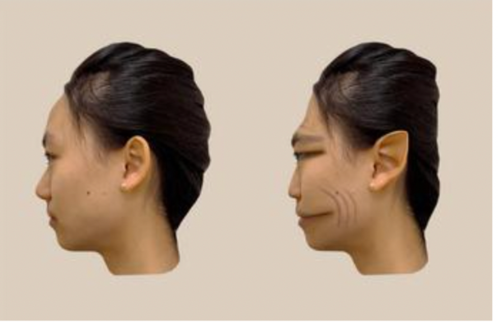 Composite image of a normal face and a demonic face