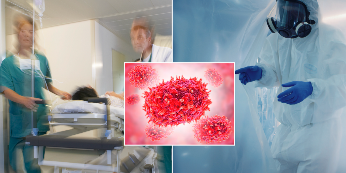 NextImg:Scientists raise alarm over deadly new pandemic as 'most dangerous' mpox strain risks global outbreak