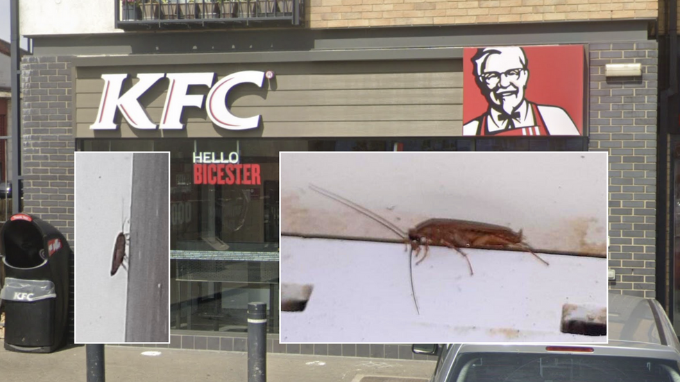 Composite image of KFC with cockroaches