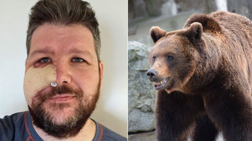Composite image of man and bear