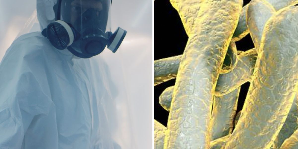 NextImg:World's deadliest infection leaves one dead and nine hospitalised as public health emergency declared