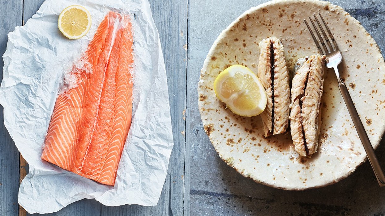 Composite image of salmon and mackerel