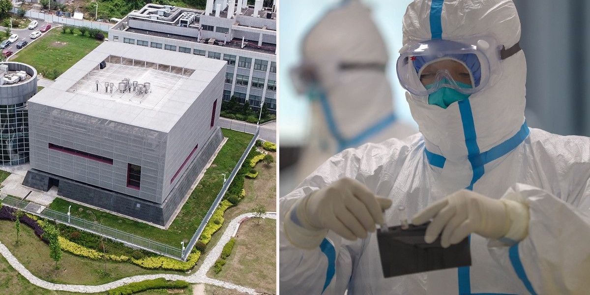 NextImg:Covid CAME from a lab, suggests bombshell new study