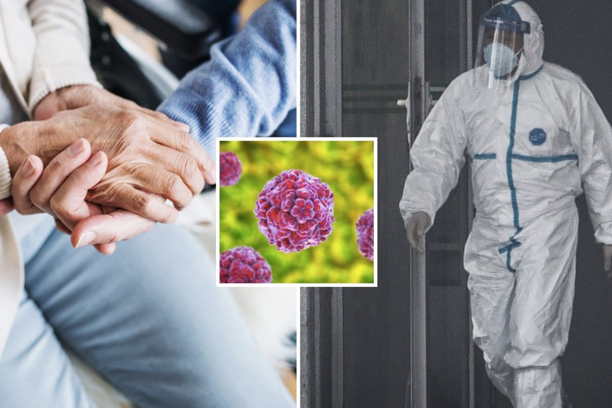 Composite images of person holding someone's hand in a wheelchair, virus and scientist in hazmat suit 