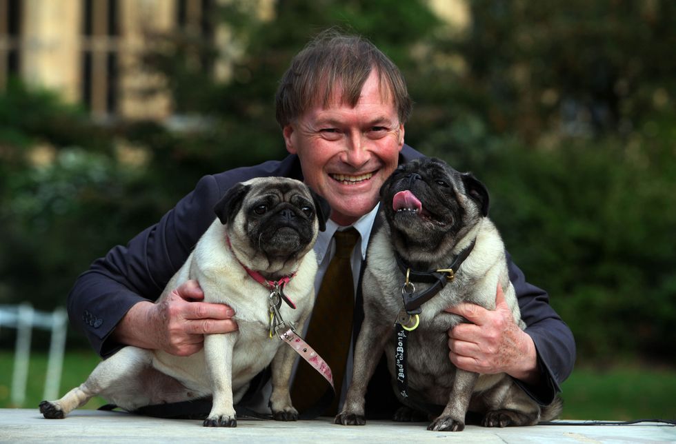 Conservative MP David Amess with his pugs, Lily and Boat at the Westminster Dog of the Year competition at Victoria Tower Gardens in London.